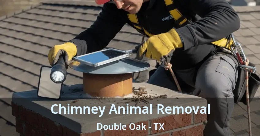 Chimney Animal Removal Double Oak - TX