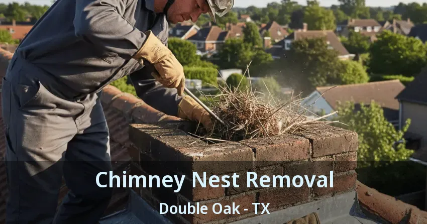 Chimney Nest Removal Double Oak - TX