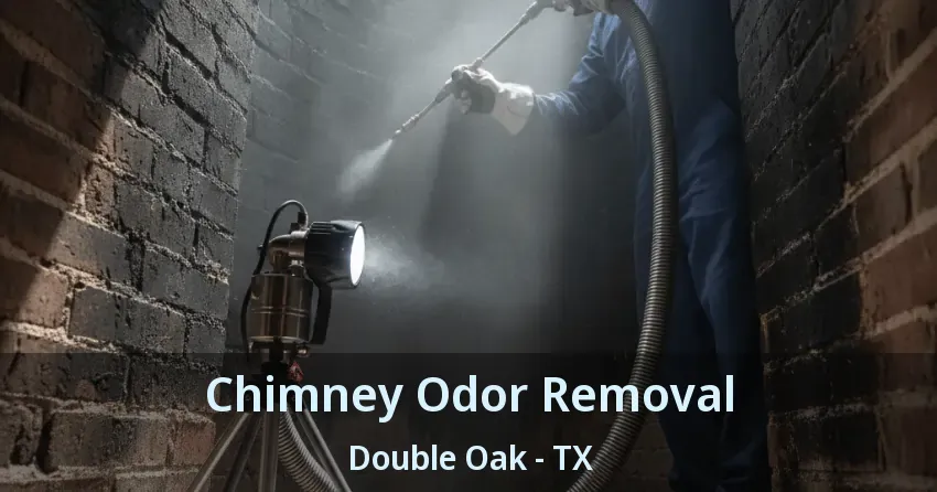 Chimney Odor Removal Double Oak - TX