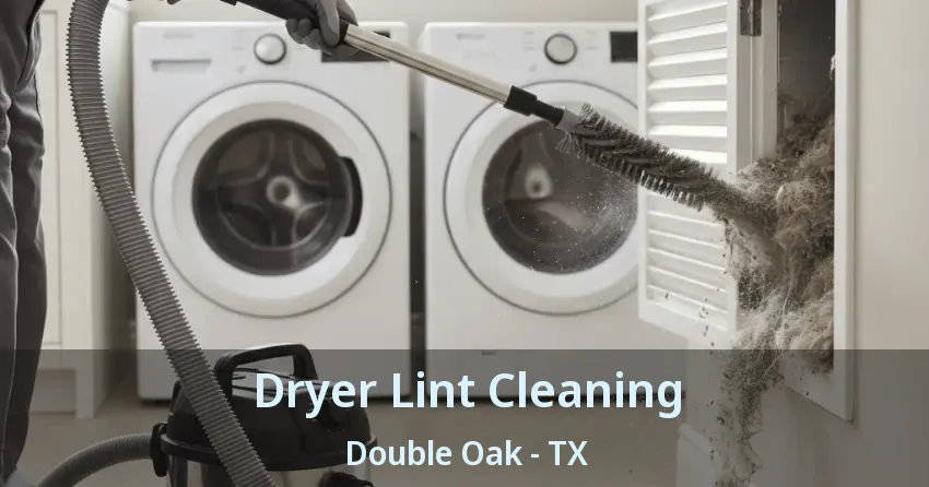 Dryer Lint Cleaning Double Oak - TX