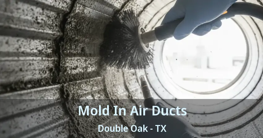 Mold In Air Ducts Double Oak - TX