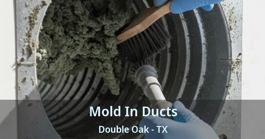 Mold In Ducts Double Oak - TX