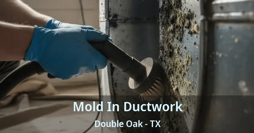 Mold In Ductwork Double Oak - TX