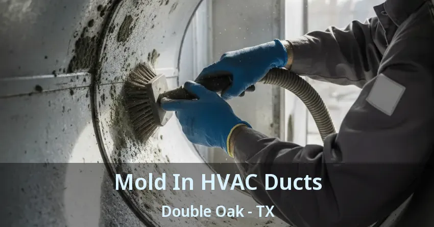 Mold In HVAC Ducts Double Oak - TX