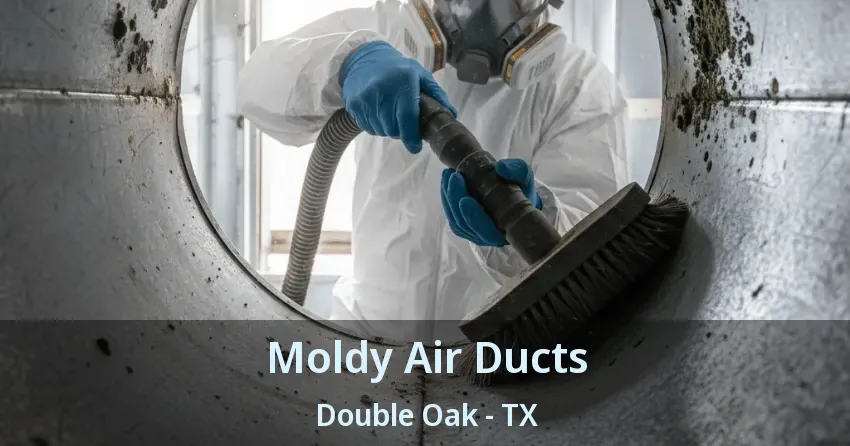 Moldy Air Ducts Double Oak - TX